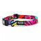 Wolfgang Retro Fit Dog Collar 18-26" poudrefeed.com
